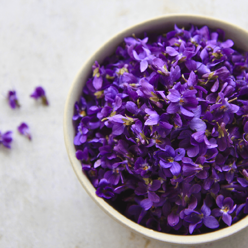 violette odorante bio entières 1kg