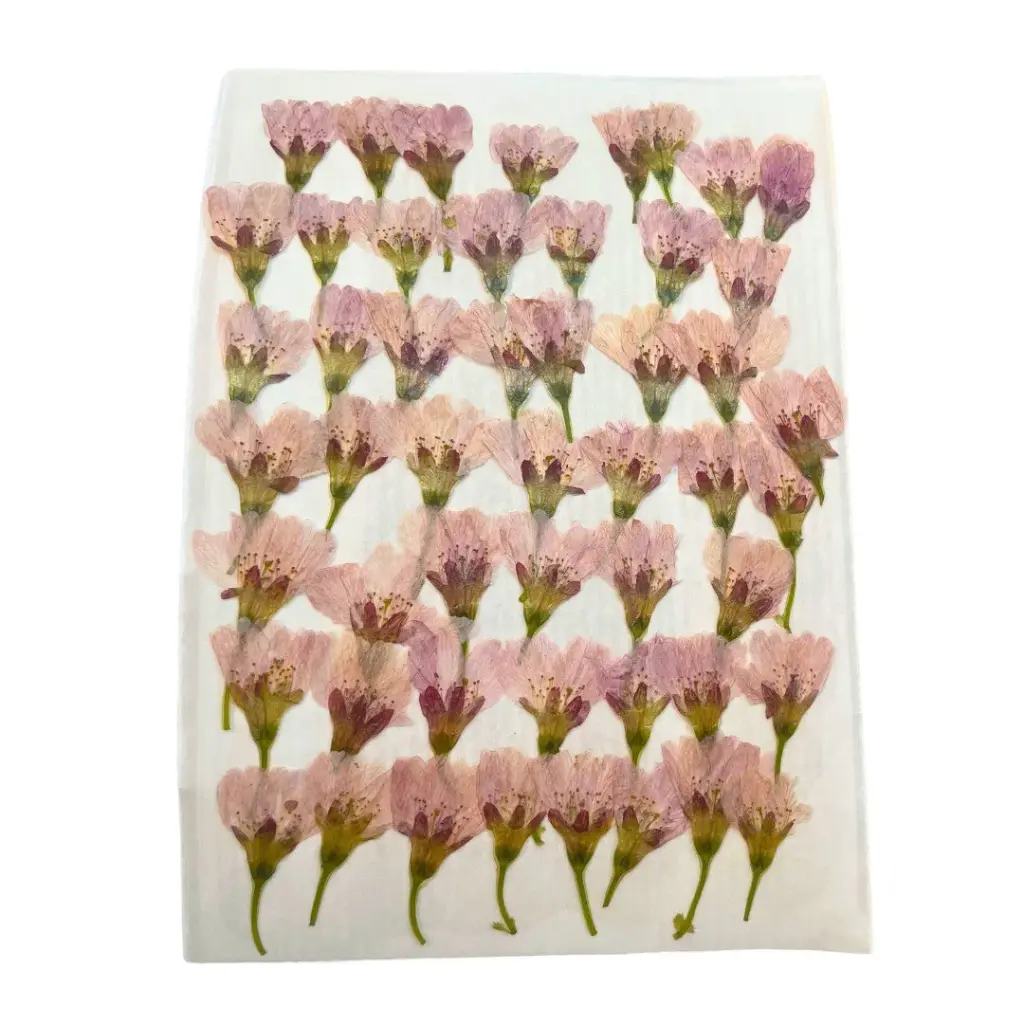 fleurs de cerisiers sakura salées a/tige (env. 100 fleurs)