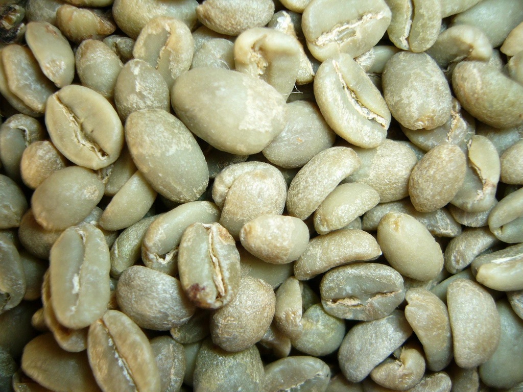 café vert ethiopien en grains 1kg