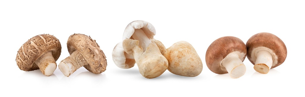 champignons de paille 425/200g
