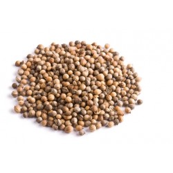 coriandre entière 1kg