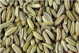 fenouil en graines 1kg