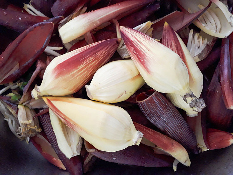 fleur de bananier fraîche 1kg