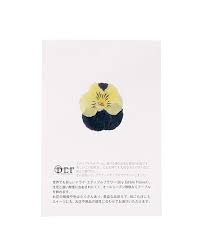 fleurs de pensée jaune et violette séchées (50f)