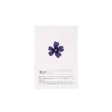 fleurs de verveine bleue séchées (50f)