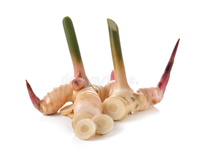 galanga frais racine 1kg