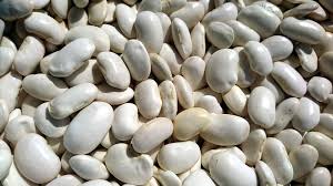 haricots blancs secs coco 5kg