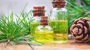 huile essentielle de pin sylvestre 10ml