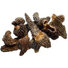 morilles Jumbo séchées à farcir 1kg