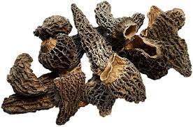 morilles sauvages extra séchées sans queue 1kg