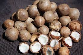 noix de coco mini 80g