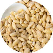 orge perlée bio 500g