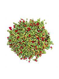 pan masala 1kg