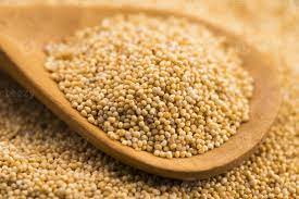 pavot blanc entier 100g