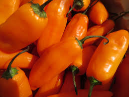 piment aji amarillo frais 1kg 