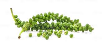 poivre vert frais 100g