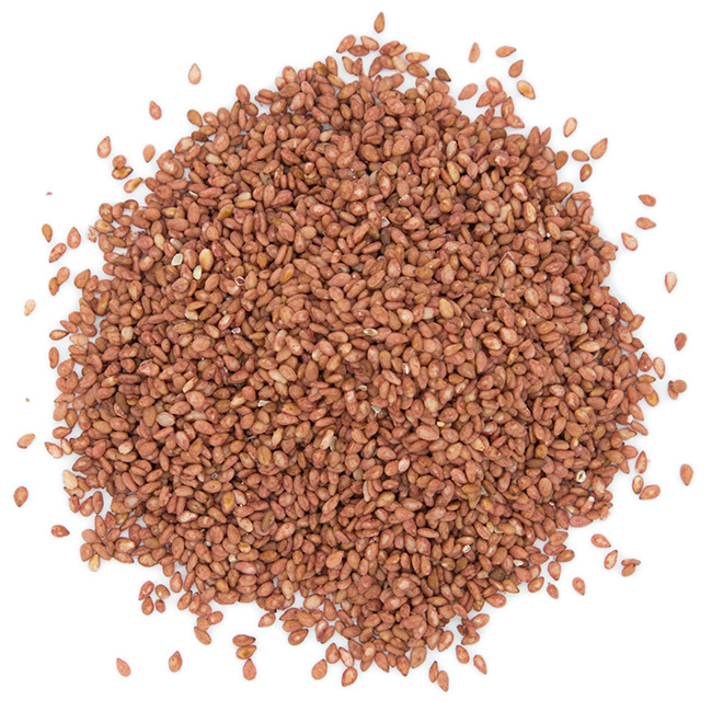 sésame torréfié à la prune 1kg