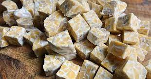 tempeh frais bio 1kg