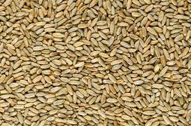 seigle en grains bio 1kg