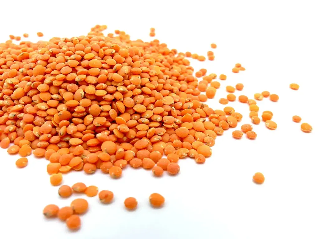 lentilles corail GRTA 5kg