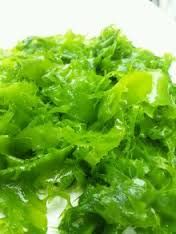 [MO-FOALGVERSEL500] algues vertes au sel 500g