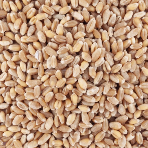 [MO-PABLEENTDEC1KG] blé entier décortiqué 1kg