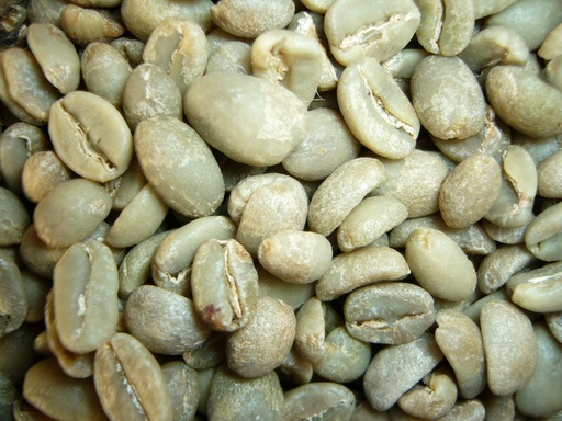 [MO-CMCAFVERETH1KG] café vert ethiopien en grains 1kg