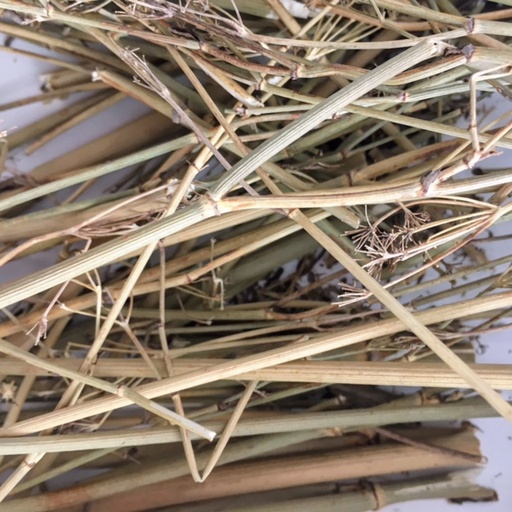 [MO-THFENBRA1KG] fenouil en branches 1kg