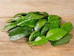 [MO-NAFEUCITKEF100] feuilles de citron keffir surgelées 100g