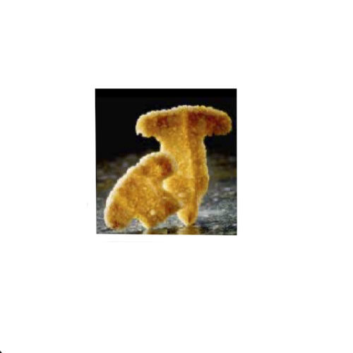 [MO-SGKROCHA175p] kroepoek forme champignon 175pc