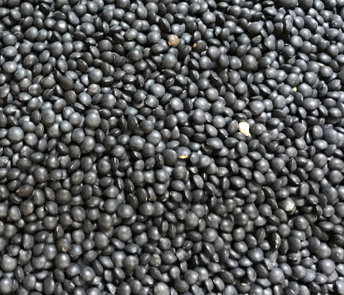 [MO-BRLENNGRTA400] lentilles noires Beluga GRTA 400g