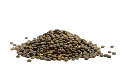 [MO-ALLENVERPUY500] lentilles vertes du Puy 500g