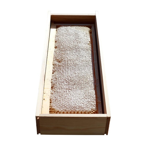 [MO-AMMIECADRAY3.5] miel cadre en rayon (environ 3kg)