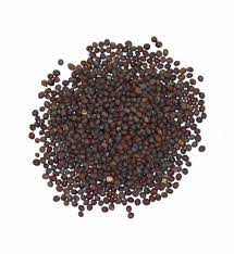 [MO-AGMOUGRANOI1KG] moutarde noire en graine 1kg