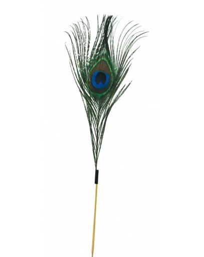 [MO-PIC125K] pic plume de paon pce