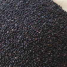 [MO-SSQUINOIBIO5KG] quinoa noire bio 5kg