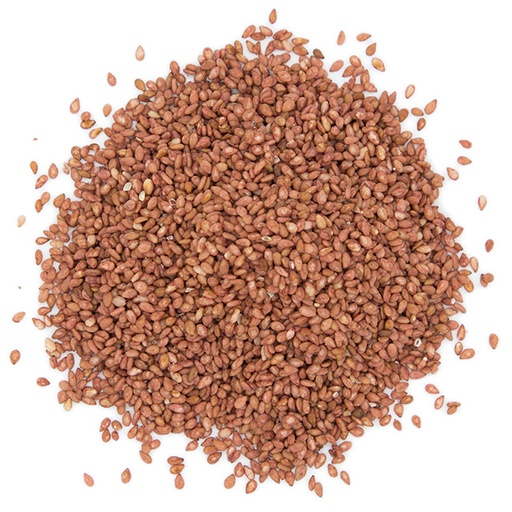 [MO-NISESTORPRU1KG] sésame torréfié à la prune 1kg