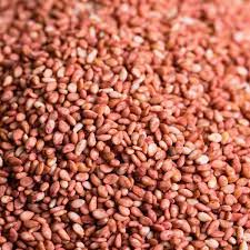 [MO-NISESTORPRU1KG] sésame torréfié à la prune 1kg